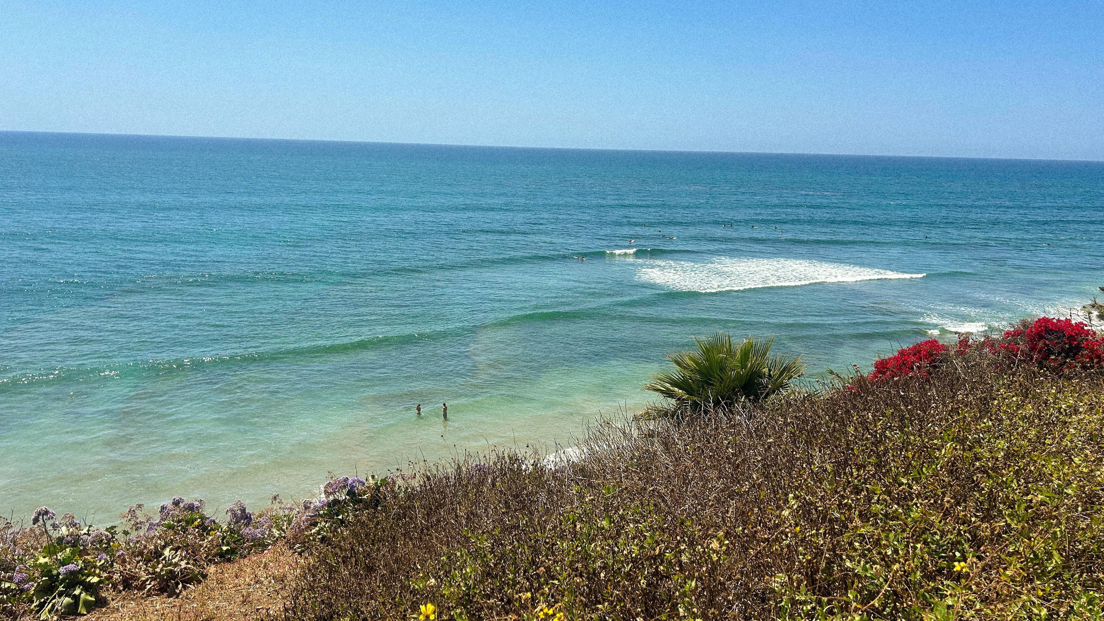 Swamis